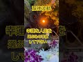 【超強力】龍神のご加護⚠️龍神奇跡の波動✨豊潤を引き寄せる#shorts