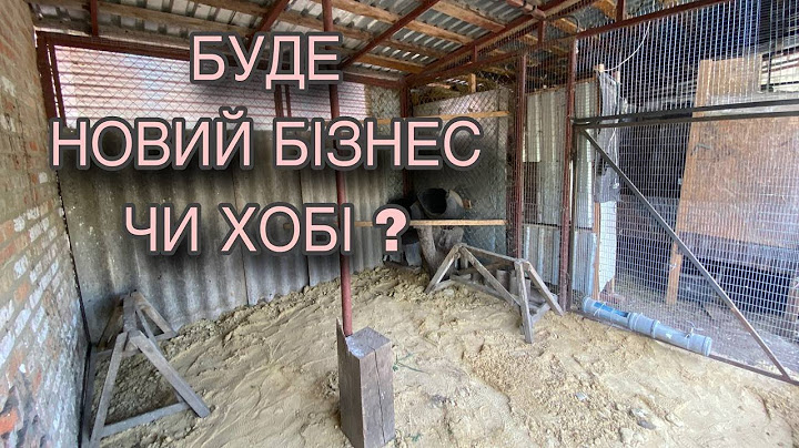КУРЕЙ ВИГНАЛИ, ЗРОБИВ ВОЛЬЄР ДЛЯ НОВИХ МЕШКАНЦІВ.