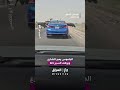 عبور جاموس من وسط الشارع يوقف السير
