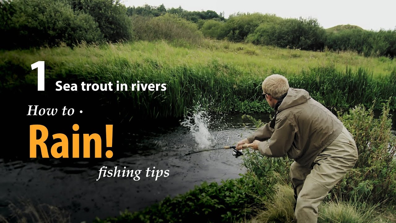 How to • Rain! • Sea trout in Rivers • fishing tips YouTube