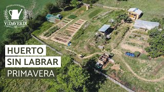 Tour Huerto en Primavera | Plantas y Asociaciones