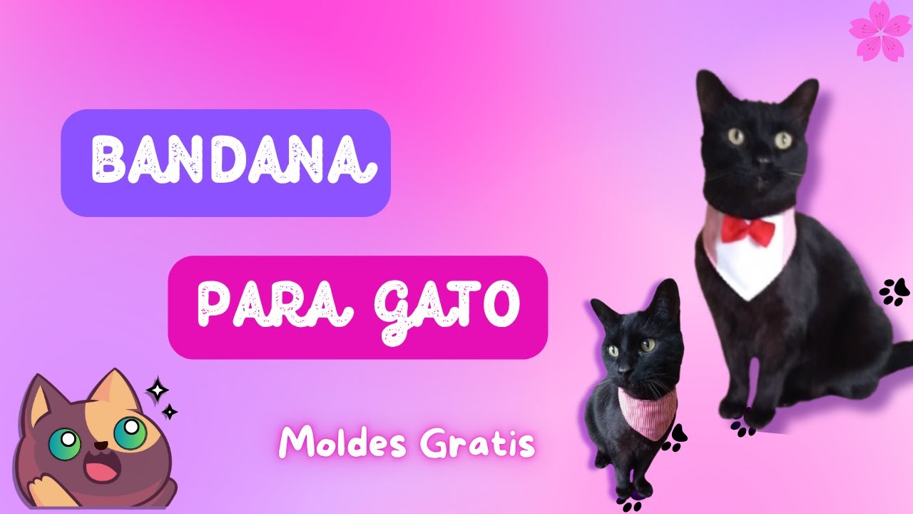 BANDANA PARA GATO 🐱😺
