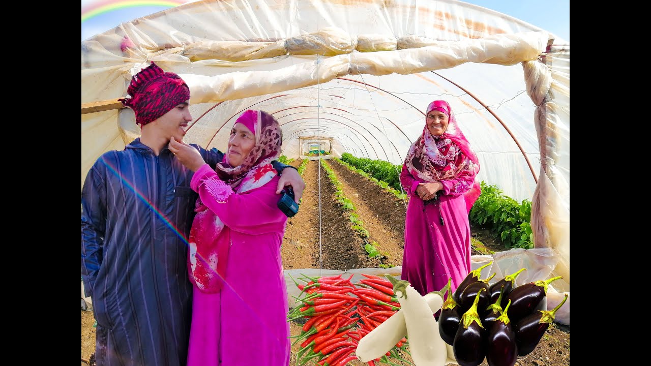 صوبة الخيار والفلفل والباذنجان وأحلى فطار فى الغيط اتفضلوا معانا ‼️
