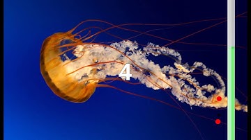 Gesture recognition with Leap Motion (quick test)