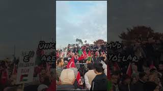 Üzülme Yaradan Umudu En Çaresiz Anlarda Yollar