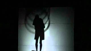 Art Gallery Shadowgraphy