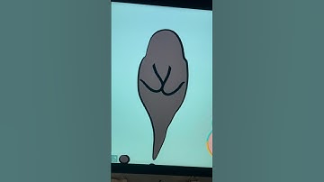 Making oc vtuber using Live2d & Clip Studio Paint