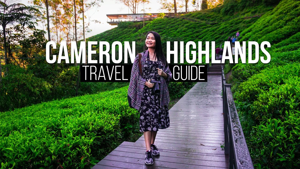 cameron highlands tour operator