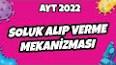 Soluk alıp verirken nelere dikkat etmeliyiz? Doğru nefes alıp verme teknikleri nelerdir? ile ilgili video