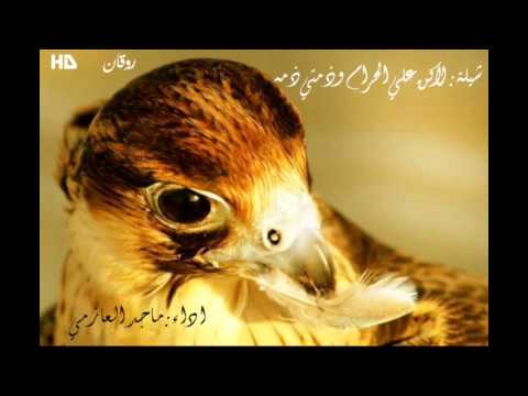 شيلة لكن علي الحرام وذمتي ذمة أداء ماجد العازمي