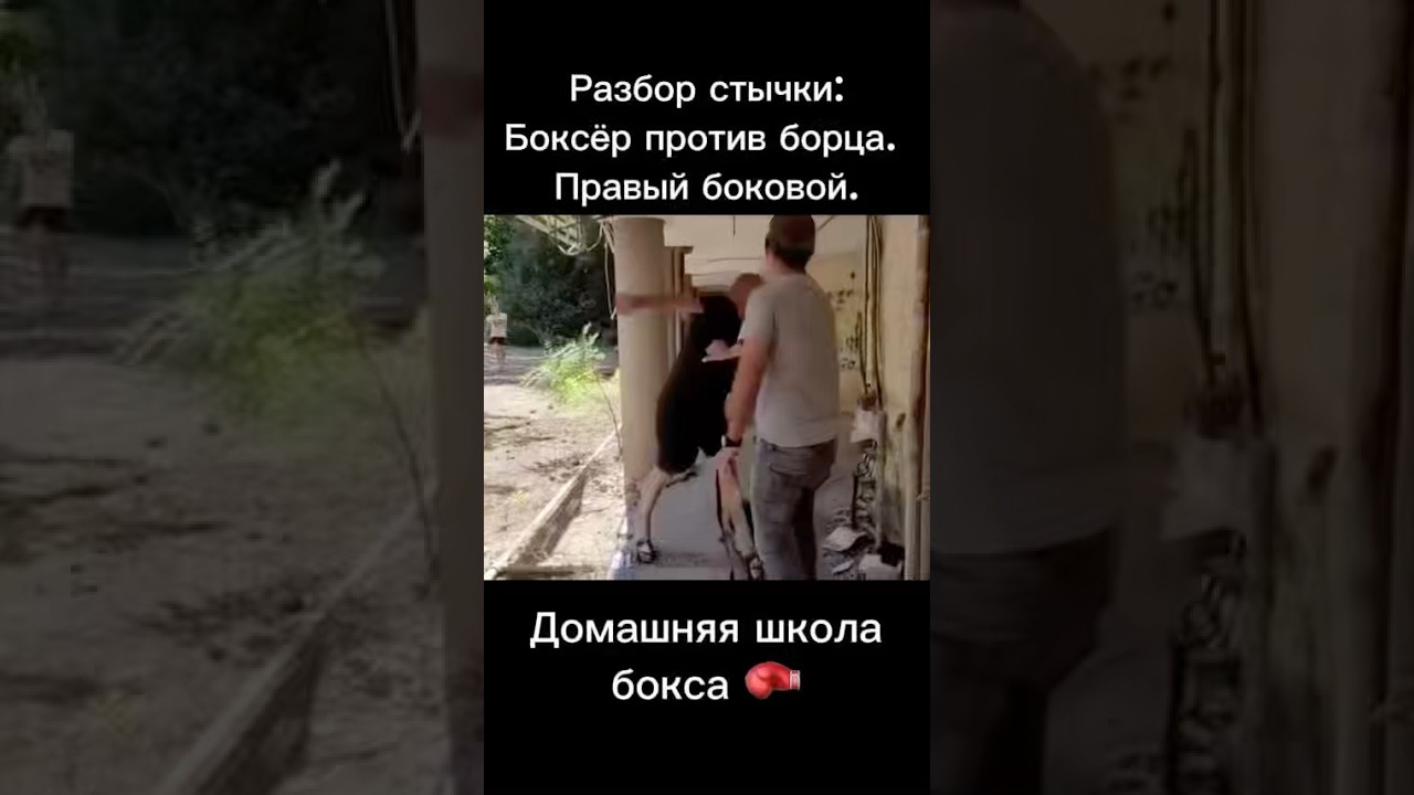 Разбор боя: Боксёр Дима против борца. Analysis of the boxer vs wrestler fight. 