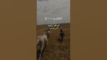 لنتدبر معاني سورة العاديات بصوت القارئ رعد الكردي #قرآن