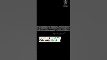 راحه🎧😩ان الله لا يخفى عليه شيء 💜 للقارى عبد الرحمن مسعد 😍 سوره ال عمران