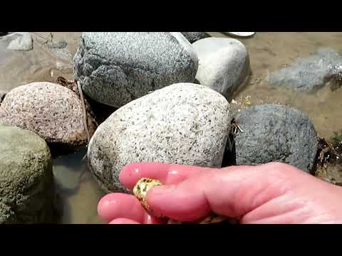 ასე მოიპოვებენ ოქროსა და ალმასს