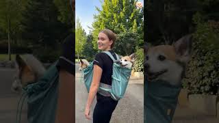 Take your furry friend everywhere in comfort and style!