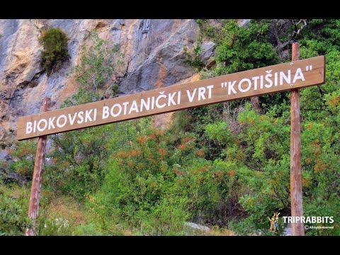 Botanical Garden Makarska Youtube