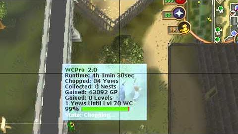 Runescape Level 70 Wood Cutting Using RSbot