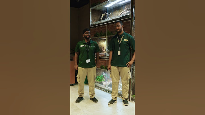 They work in a rainforest… but how well do they really know each other?