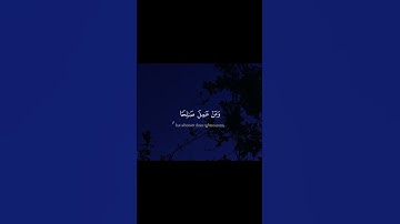 سورة غافر - الآيات 38-40 - تلاوة عزت جمال