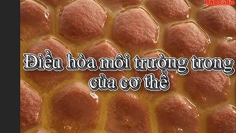 KHTN 8 (Sinh học) - Điều hòa môi trường trong của cơ thể - biology video - PNCaudio
