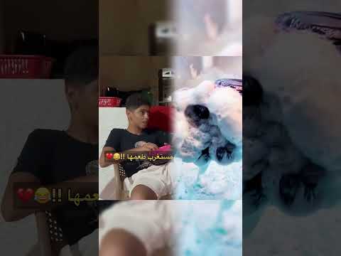مقلب الجلدة في الشيبسي عبدالرحمن الدسوقي