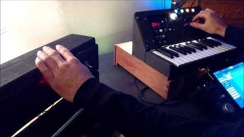 The Glitcher Panel - DIY Synth