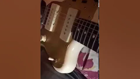 Ryan Richter Plays the new 10 watt / 2 X 10" Bi Di...