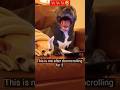 Horror Scene = Instant Panic for This Dog 🐶😨 #funny