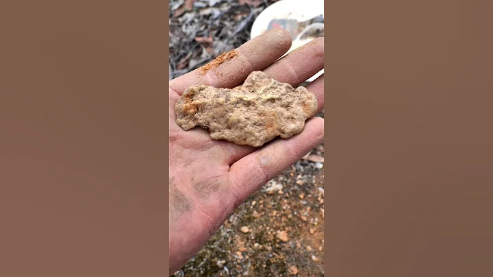 Life-Changing Gold Nugget!