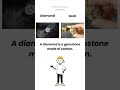 What’s the Difference? Alligator vs Crocodile &amp; Diamond vs Gold