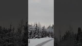 Свежесть Зимнего Леса, сельские дороги Восточной Финляндии