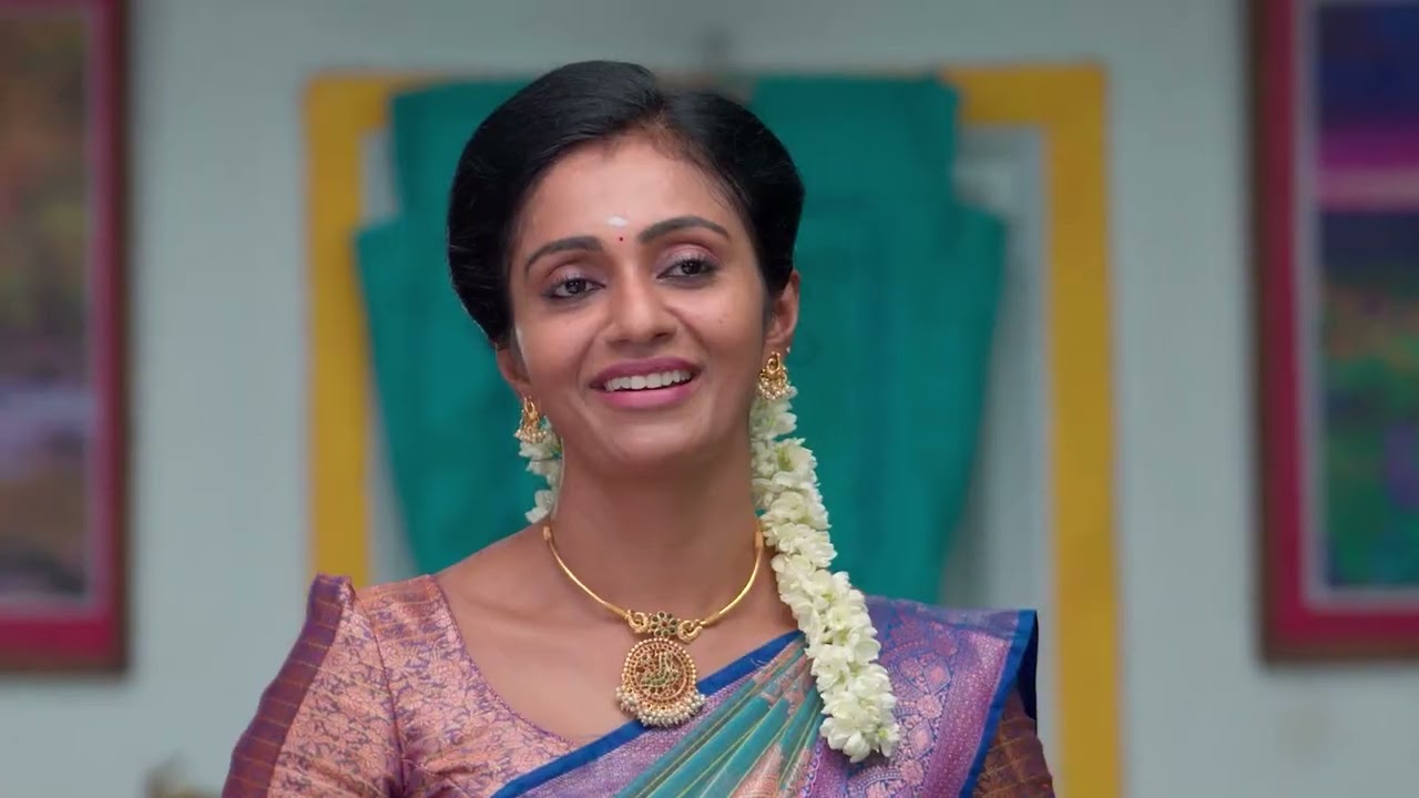 Anna - Full Ep - 317 - Shanmugam, Bharani, Rathna - Zee Tamil