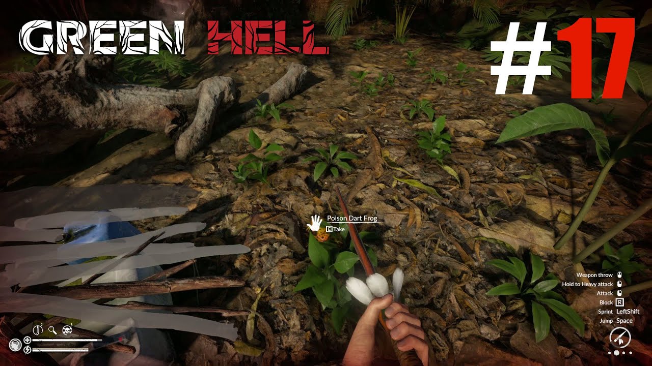 Accidentally Picking Up A Poisonous Dart Frog - Green Hell Spirits Of