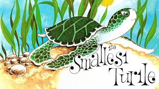 The Smallest Turtle | Lynley Dodd | Illustrated Audiobook