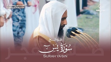 الشيخ احمد بن طالب فواتح سورة يس من صلاة الفجر 20 ربيع الآخر 1446هـ Ahmed bin Talib Surah Ya-Sin