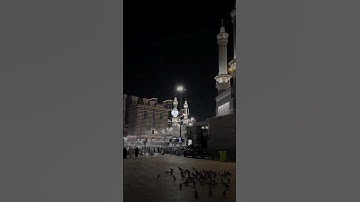 سورة البقرة الآية 1 الى 10 للمقرئ الشيخ محمد الصديق المنشاوي.