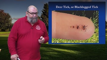 Tickology: Tick Identification and Ecology