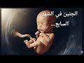 الجنين في الشهر السابع