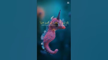 #اكسبلور 🤍 سورة النحل #دويتو تلاوة خاشعة #duet #راحة نفسية #cute 🤍