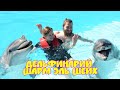 Дельфинарий Шарм эль Шейх,  плаванье с дельфинами, мини зоопарк и цены