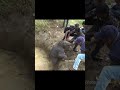 Rescue baby elephant