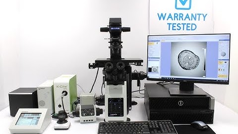Olympus IX83 Motorized Autofocus Inverted Fluorescence Microscope [BOSTONIND] - 51833 #2