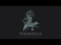 Transidelia - [ ANATOLI 2020 ] Full Album // Official audio