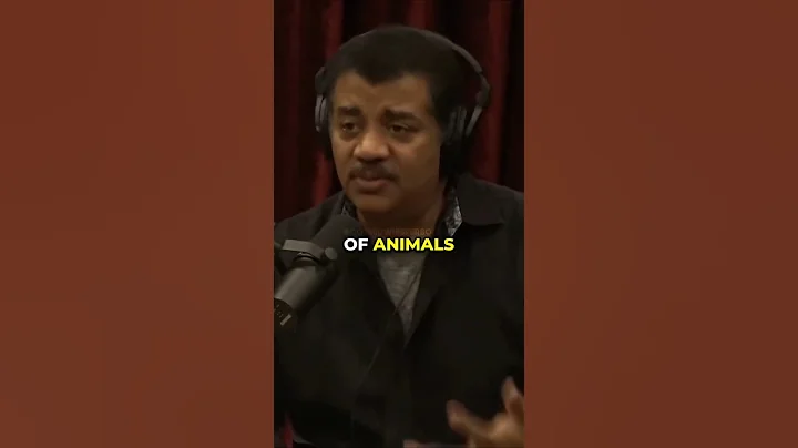 Bears Acting Human 🐻 w/ Neil deGrasse Tyson