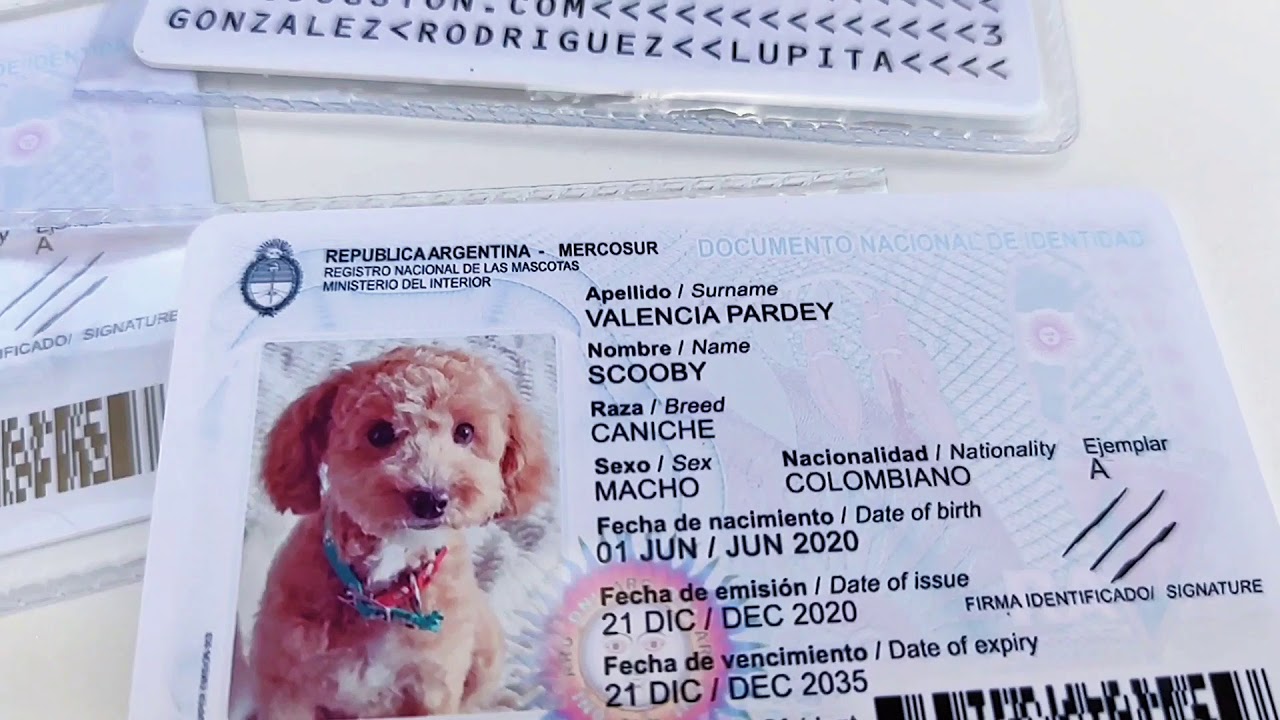 Dni Vacio Para Rellenar DNI para mascotas - Dogston