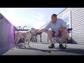 Loyal Pup Helps Veteran’s Family Grow Stronger | The Dodo