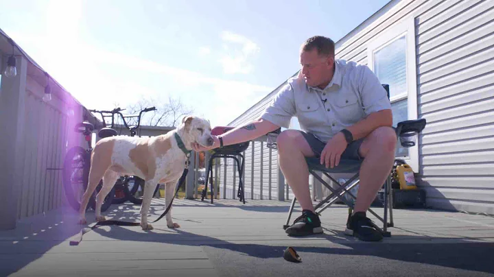 Loyal Pup Helps Veteran’s Family Grow Stronger | The Dodo - DayDayNews