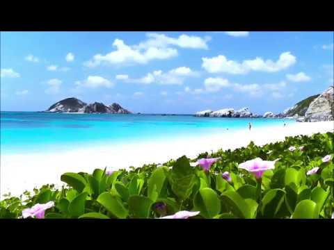 阿波連ビーチ 渡嘉敷島 シュノーケリング 沖縄ケラマ Youtube