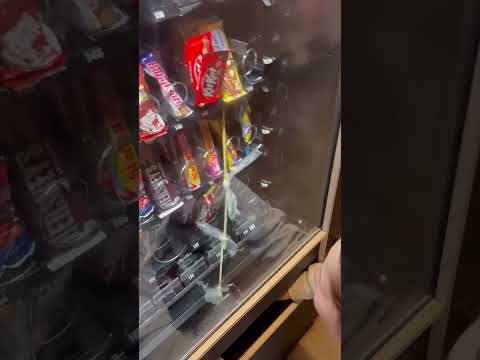 پشتکار آنها پاداش گرفت 