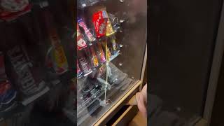 Download Lagu Hun volharding werd beloond! MP3